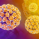 Illustration for article titled Obat Untuk Menghilangkan Virus HPVem/em